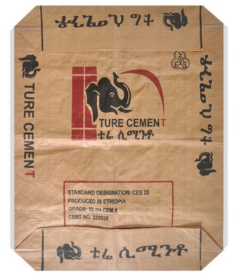 I pp quadrati hanno laminato la borsa Flexiloop di carta kraft hanno ricoperto i sacchetti di plastica tessuti 50 chilogrammi del polipropilene